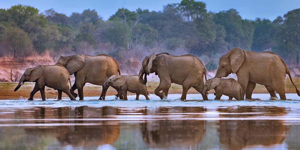 Zambezi Highlights Safari (6 Days)