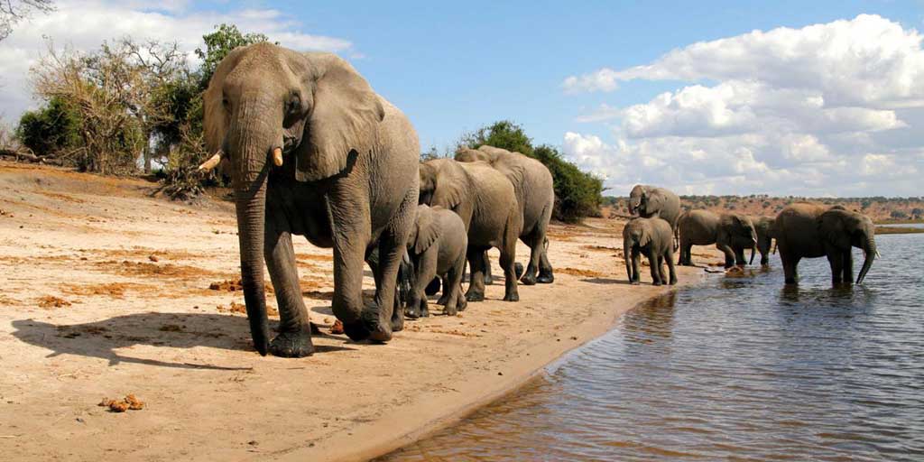 Botswana Grand Flying Safari (7 Days)