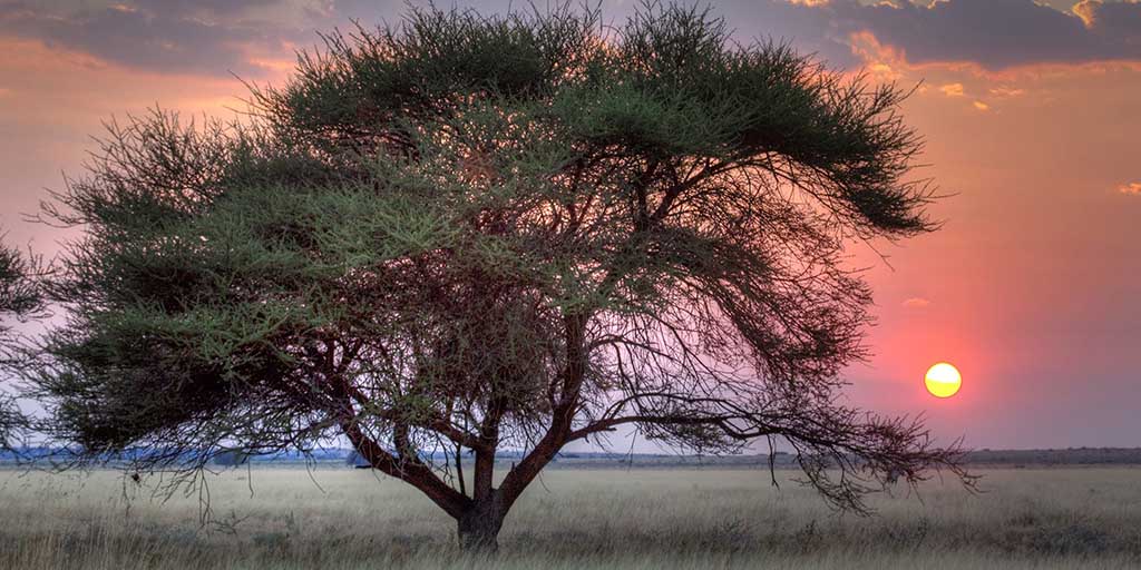 Namibia Discovery Tour (14 Days)