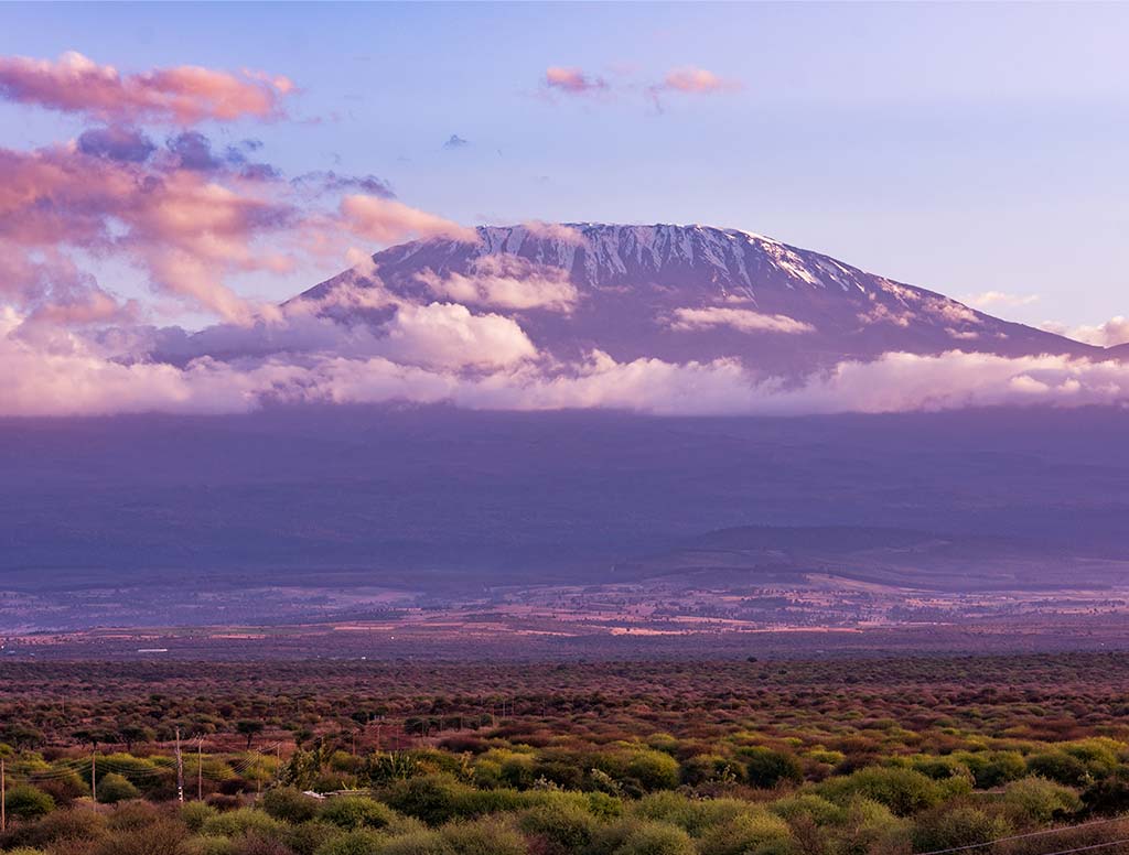 Kilimanjaro